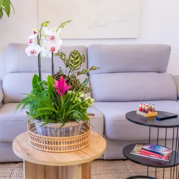 Comprar Jardín Arcoíris en Barcelona | FLORES DÍA DE LA MADRE