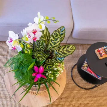 Comprar Jardín Arcoíris en Barcelona | FLORES DÍA DE LA MADRE