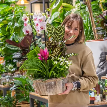 Comprar Jardín Arcoíris en Barcelona | FLORES DÍA DE LA MADRE