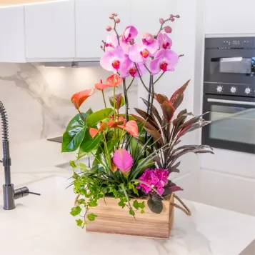 Comprar Encanto Rosa en Barcelona | FLORES DÍA DE LA MADRE