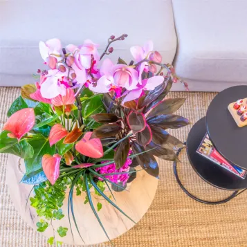Comprar Encanto Rosa en Barcelona | FLORES DÍA DE LA MADRE