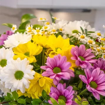 Comprar Ramo margaritas Primavera Fresca en Barcelona | FLORES DÍA DE LA MADRE