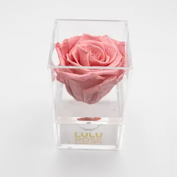 Compra Joyero con Rosa Preservada en Barcelona | Flores Artificiales o Liofilizadas