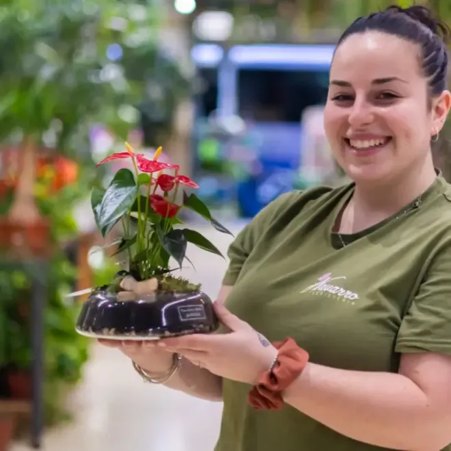 Comprar Anthurium en Base de Cristal en Barcelona | Plantas