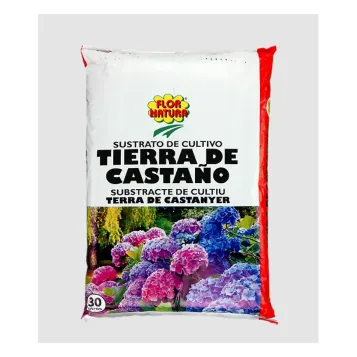 Terra de castanyer