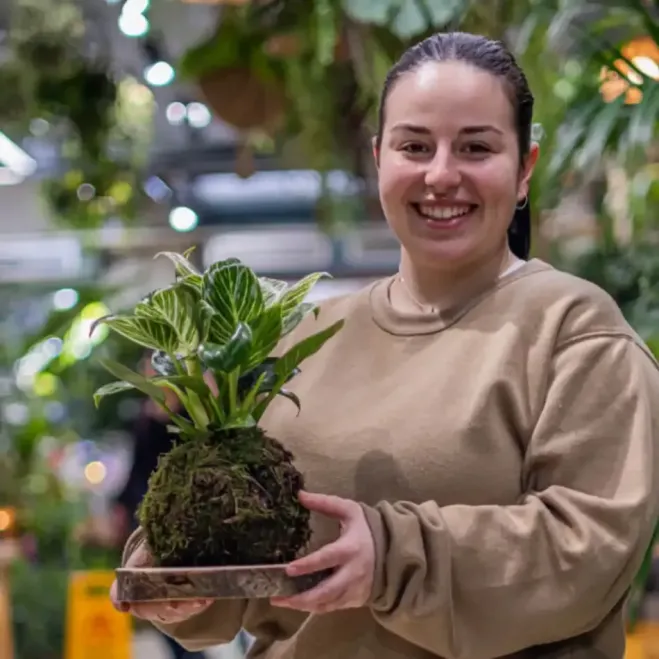 Compra Kokedama Philodendro White en Barcelona | Kokedamas