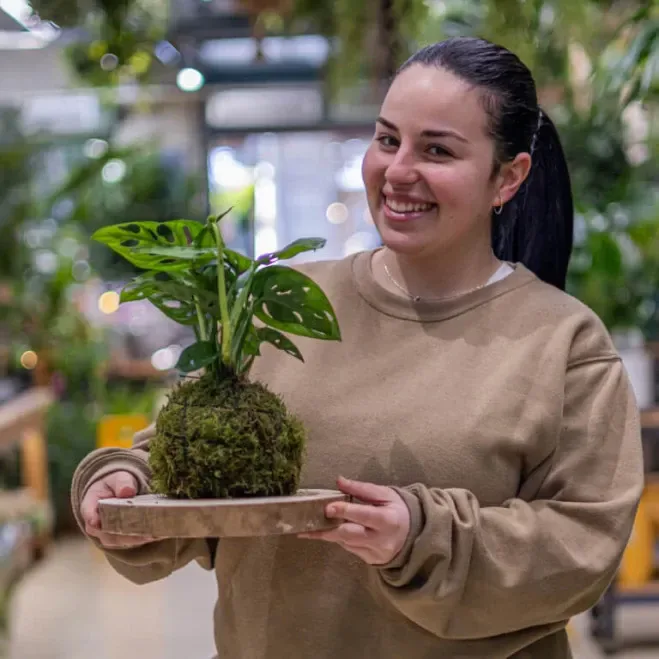 Comprar Kokedama Andsansonii en Barcelona | Kokedamas