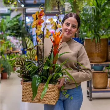 Grupo de plantas exuberante