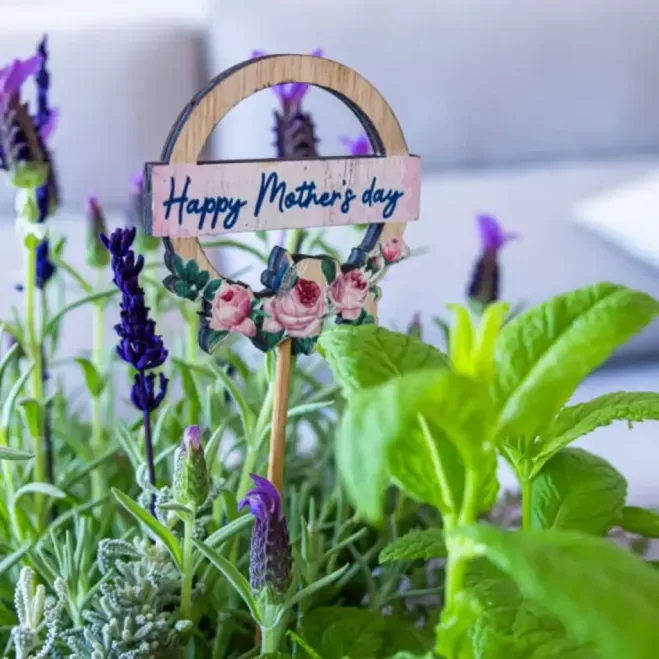 Comprar Composición de Plantas Aromáticas en Barcelona | Grupos de Plantas