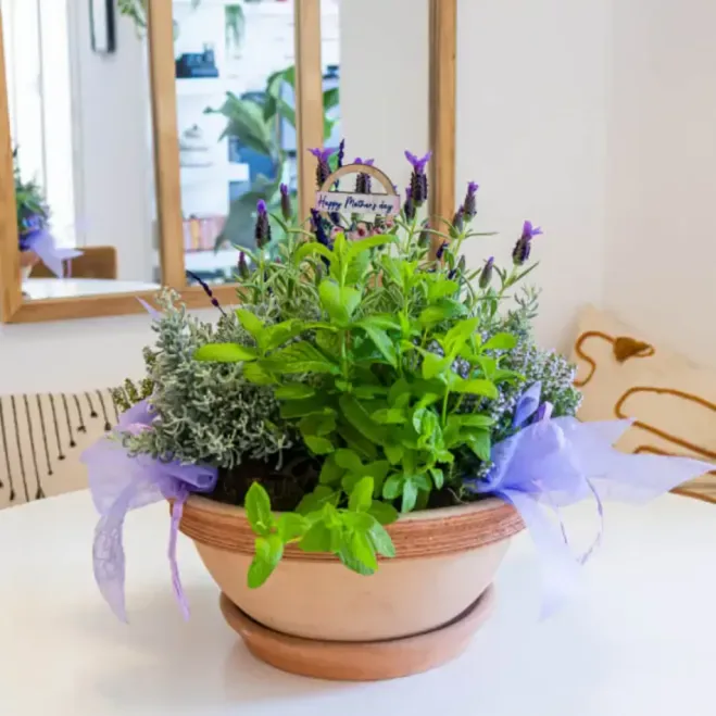 Comprar Composición de Plantas Aromáticas en Barcelona | Grupos de Plantas