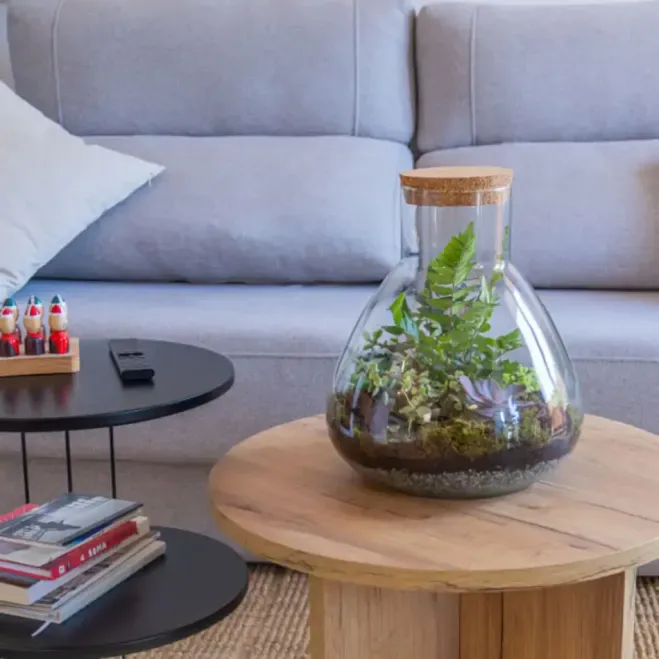 Comprar Terrario Karim en Barcelona | Terrarios de Plantas