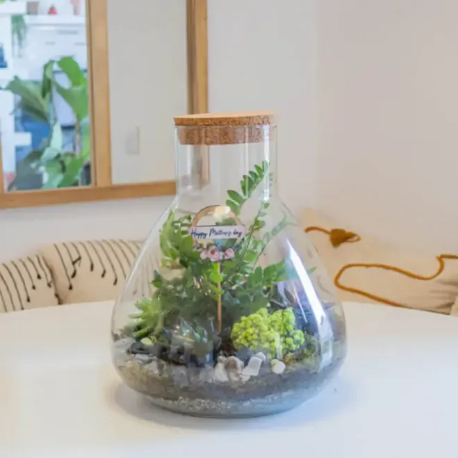 Comprar Terrario Karim en Barcelona | Terrarios de Plantas