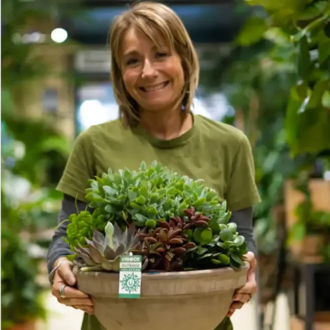 Comprar Terrario Crassbowl en Barcelona | Terrarios de Plantas