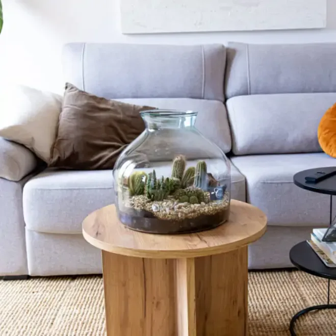 Comprar Terrario Tabernas en Barcelona | Terrarios de Plantas