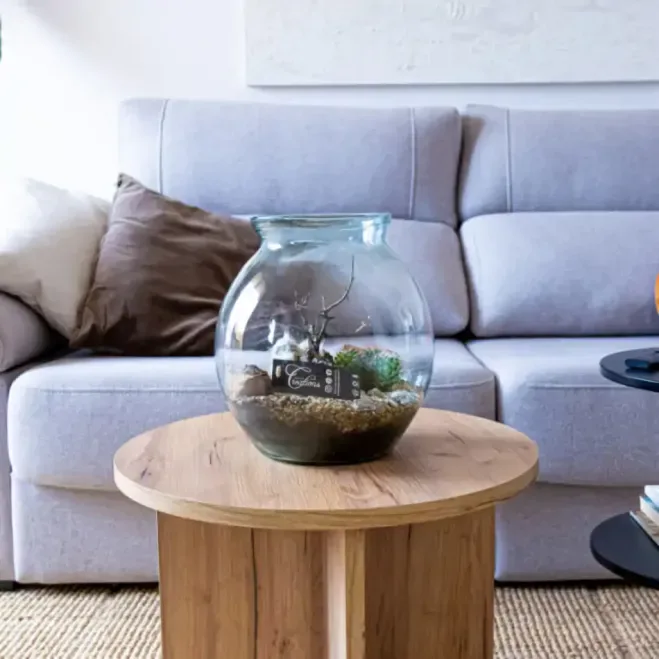 Comprar Terrario Carcross en Barcelona | Terrarios de Plantas