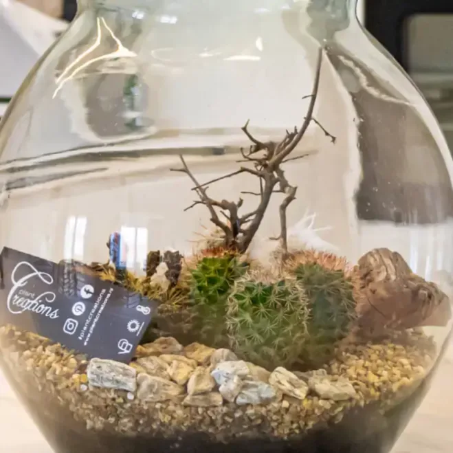 Comprar Terrario Carcross en Barcelona | Terrarios de Plantas