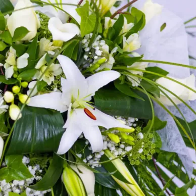 Cojín aire romántico flor de temporada tonos blancos 2