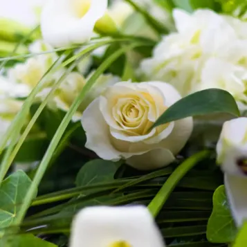Coixí aire romàntic flor de temporada