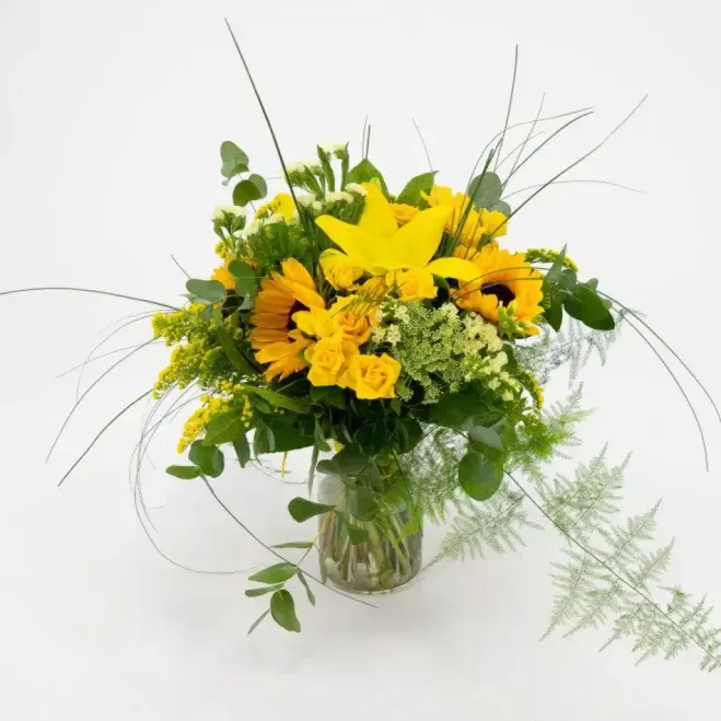 Compra Minigerro Silvestre Tons Grocs a Barcelona | Flors
