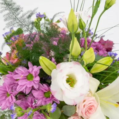 Comprar Minigerro silvestre tons roses a Barcelona | Flors Navarro 2