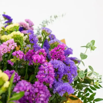 Comprar Ramo de estatice | Flores Navarro