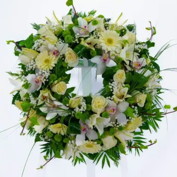 Comprar Coronita flor blanca en Barcelona | Inicio
