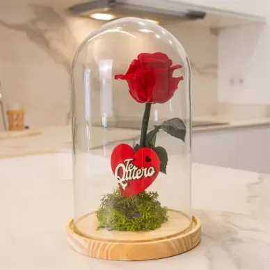 Comprar Cúpula de Rosa Liofilizada en Barcelona | Flores Artificiales o Liofilizadas