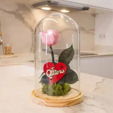 Comprar Cúpula de Rosa Liofilizada en Barcelona | Flores Artificiales o Liofilizadas 2