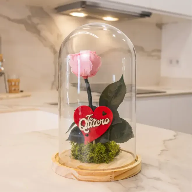 Comprar Cúpula de Rosa Liofilizada en Barcelona | Flores Artificiales o Liofilizadas