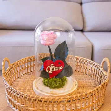 Comprar Cúpula de Rosa Liofilizada en Barcelona | Flores Artificiales o Liofilizadas