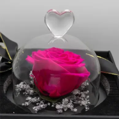 Comprar Mini Cúpula de Rosa Liofilizada en Barcelona | Flores Artificiales o Liofilizadas