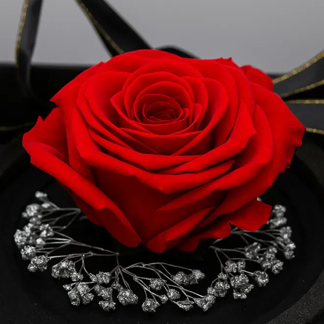 Comprar Mini Cúpula de Rosa Liofilizada en Barcelona | Flores Artificiales o Liofilizadas