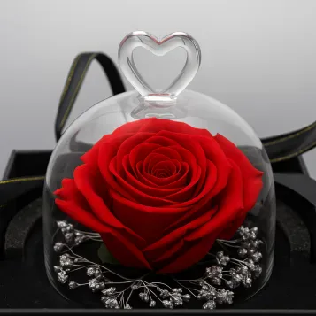Compra Mini Cúpula de Rosa Liofilitzada a Barcelona | Flors Artificials o Liofilitzades