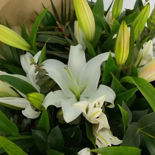 Comprar Ramo de Lilium Blanco en Barcelona | Ramos de Flores