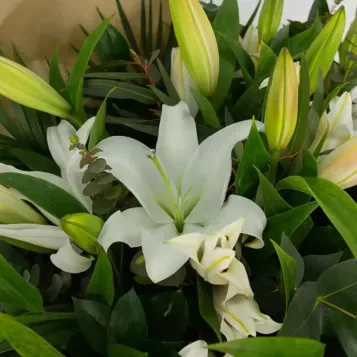 Comprar Ramo de Lilium Blanco en Barcelona | Ramos de Flores