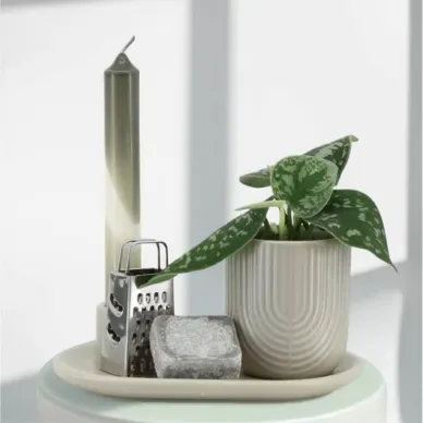 Comprar Caja regalo con Planta y Esencias aromáticas en Barcelona | Plantas de Interior 2