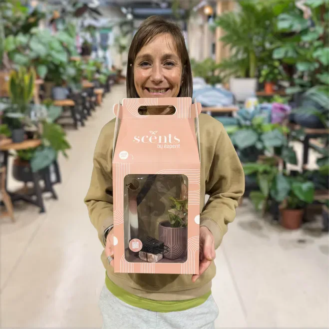 Compra Capsa regal amb planta i essències aromàtiques a Barcelona | Plantes d'Interior