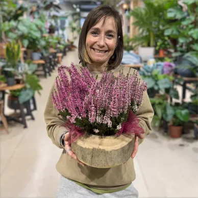 Compra Composición Rústica de Éricas en Barcelona | Grupos de Plantas 2