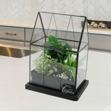 Comprar Invernadero con Miniplantas en Barcelona | Plantas de Interior