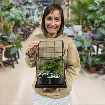 Compra Hivernacle amb Miniplantes a Barcelona | Plantes d'Interior