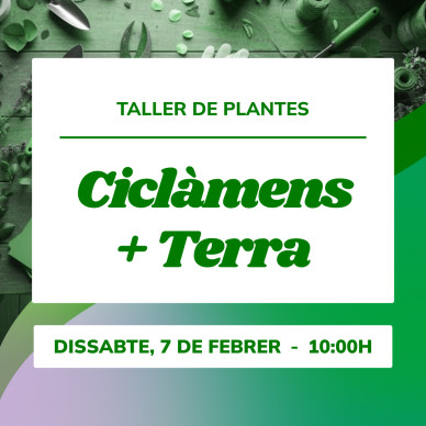 Taller de plantas de invierno | Aprende a crear tu mezcla de tierras 2