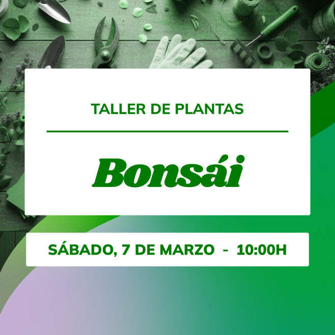 Taller de iniciación al bonsái | Aprende con Mistral Bonsai