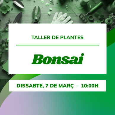 Taller de iniciación al bonsái | Aprende con Mistral Bonsai 2