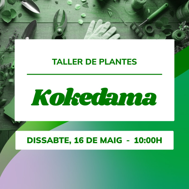 Taller de kokedama | Aprende la técnica japonesa paso a paso