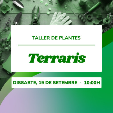 Taller de terrario vegetal | Crea tu ecosistema en miniatura 2