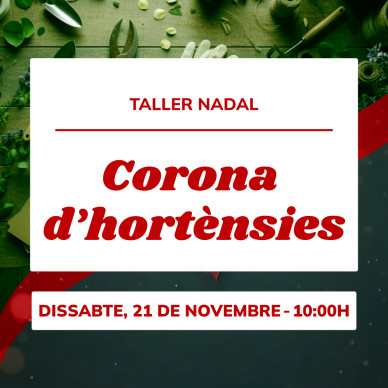 Taller corona de hortensias | Crea una decoración floral elegante 2