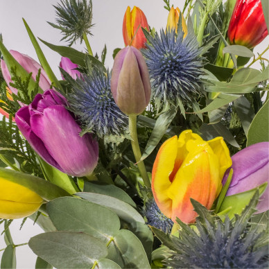 Mini gerro de tulipes variades i eryngium – Composició floral amb estil 2