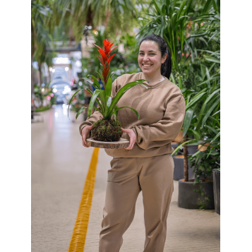Taller de kokedama | Aprende la técnica japonesa paso a paso