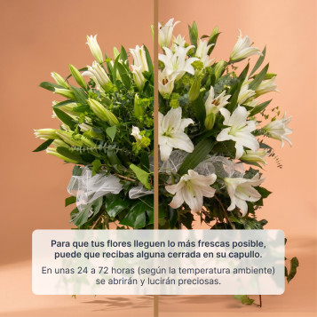 Comprar Hermoso Jarrón de Lilium Oriental en Barcelona | Centros de flores
