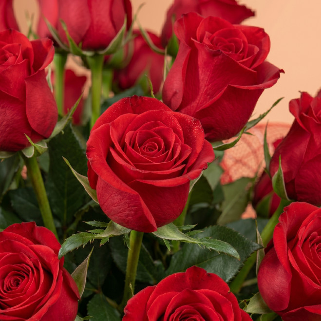 Comprar Preciosa Composición de 80 Rosas Rojas en Barcelona | Centros de Flores